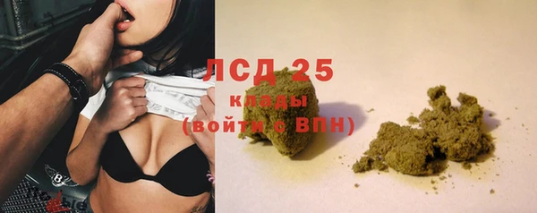 ГАЛЛЮЦИНОГЕННЫЕ ГРИБЫ Заводоуковск