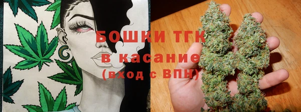 ГАЛЛЮЦИНОГЕННЫЕ ГРИБЫ Заводоуковск