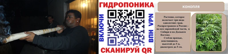 Бошки марихуана конопля  Купить закладки  Володарск 